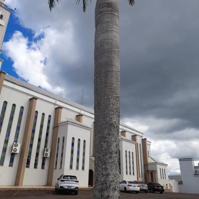 Preparativos para o Natal iniciam na PraÃ§a da Matriz Santâ€™Ana